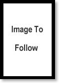 Channings Image Template